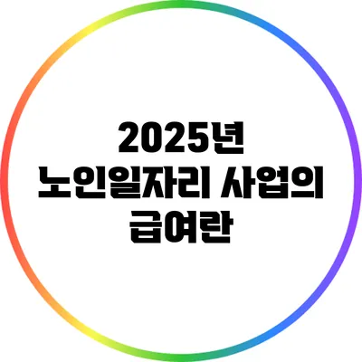 2025년 노인일자리 사업의 급여란?