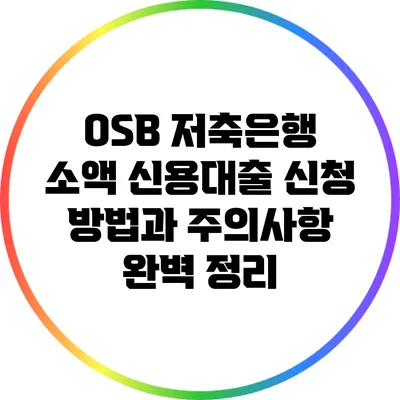 OSB 저축은행 소액 신용대출: 신청 방법과 주의사항 완벽 정리