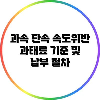 과속 단속: 속도위반 과태료 기준 및 납부 절차