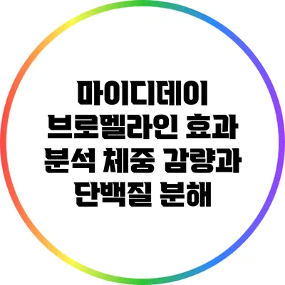 마이디데이 브로멜라인 효과 분석: 체중 감량과 단백질 분해