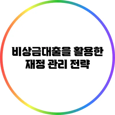 비상금대출을 활용한 재정 관리 전략