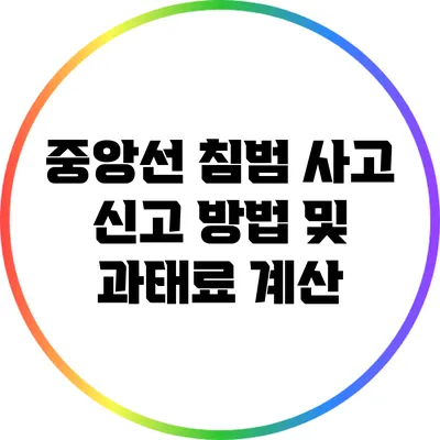 중앙선 침범 사고 신고 방법 및 과태료 계산