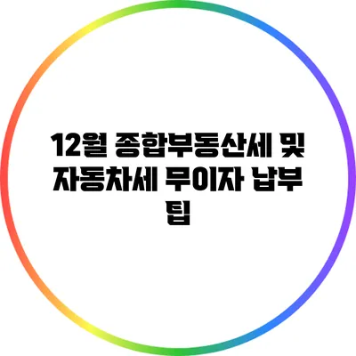 12월 종합부동산세 및 자동차세 무이자 납부 팁