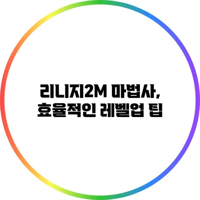 리니지2M 마법사, 효율적인 레벨업 팁