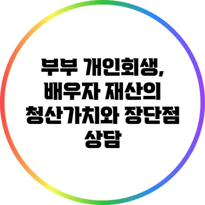 부부 개인회생, 배우자 재산의 청산가치와 장단점 상담