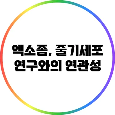 엑소좀, 줄기세포 연구와의 연관성