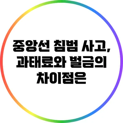 중앙선 침범 사고, 과태료와 벌금의 차이점은?