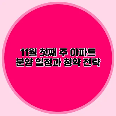 11월 첫째 주 아파트 분양 일정과 청약 전략