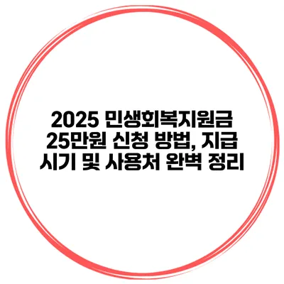 2025 민생회복지원금 25만원 신청 방법, 지급 시기 및 사용처 완벽 정리