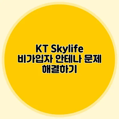 KT Skylife 비가입자 안테나 문제 해결하기