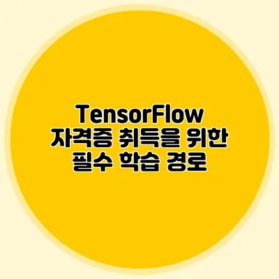 TensorFlow 자격증 취득을 위한 필수 학습 경로