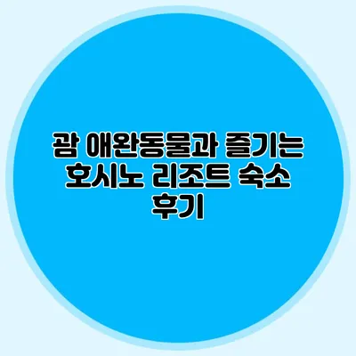 괌 애완동물과 즐기는 호시노 리조트 숙소 후기
