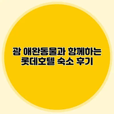 괌 애완동물과 함께하는 롯데호텔 숙소 후기