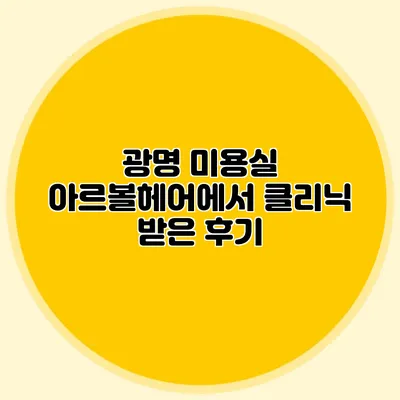 광명 미용실 아르볼헤어에서 클리닉 받은 후기