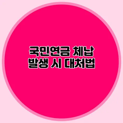 국민연금 체납 발생 시 대처법