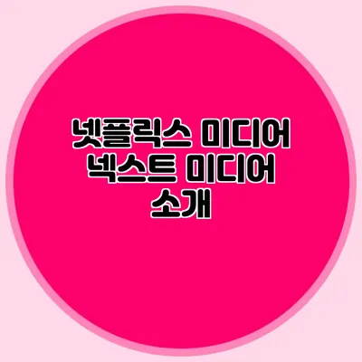 넷플릭스 미디어: 넥스트 미디어 소개