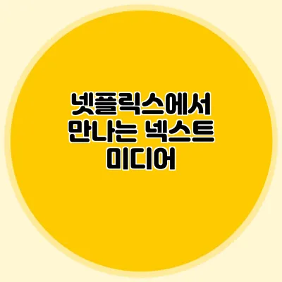 넷플릭스에서 만나는 넥스트 미디어