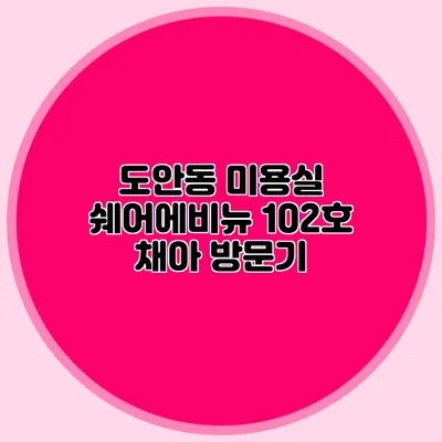 도안동 미용실 쉐어에비뉴 102호 채아 방문기