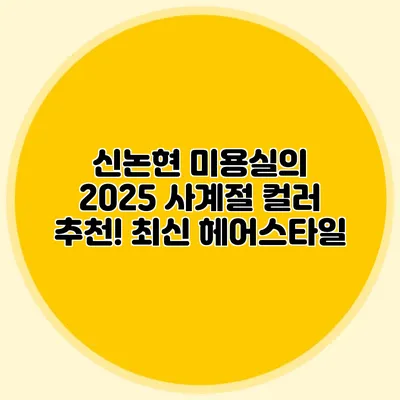 신논현 미용실의 2025 사계절 컬러 추천! 최신 헤어스타일