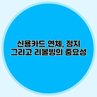 신용카드 연체, 정지 그리고 리볼빙의 중요성
