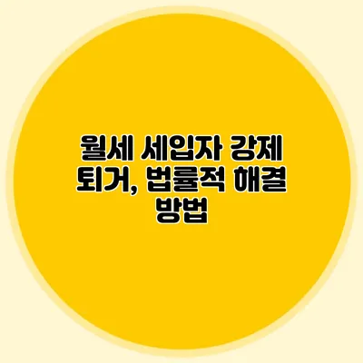 월세 세입자 강제 퇴거, 법률적 해결 방법