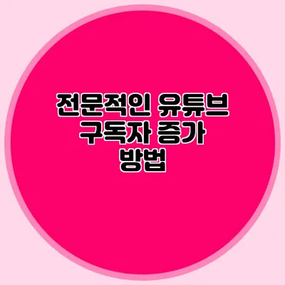 전문적인 유튜브 구독자 증가 방법