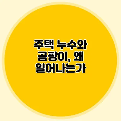 주택 누수와 곰팡이, 왜 일어나는가?