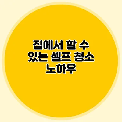 집에서 할 수 있는 셀프 청소 노하우