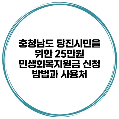 충청남도 당진시민을 위한 25만원 민생회복지원금 신청 방법과 사용처
