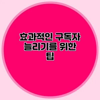 효과적인 구독자 늘리기를 위한 팁