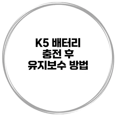 K5 배터리 충전 후 유지보수 방법