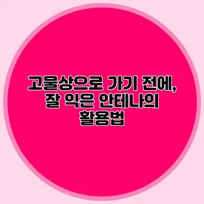 고물상으로 가기 전에, 잘 익은 안테나의 활용법