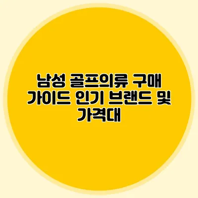 남성 골프의류 구매 가이드: 인기 브랜드 및 가격대