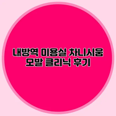 내방역 미용실 차니시움 모발 클리닉 후기