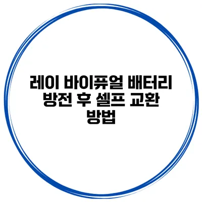 레이 바이퓨얼 배터리 방전 후 셀프 교환 방법