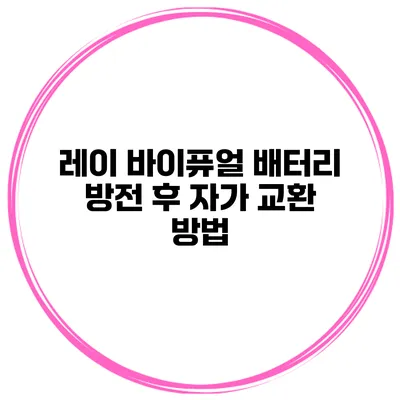 레이 바이퓨얼 배터리 방전 후 자가 교환 방법