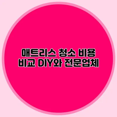 매트리스 청소 비용 비교: DIY와 전문업체