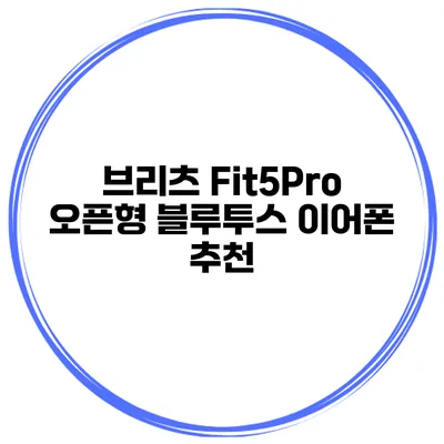 브리츠 Fit5Pro 오픈형 블루투스 이어폰 추천