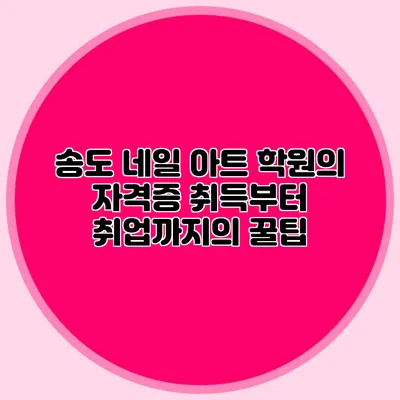 송도 네일 아트 학원의 자격증 취득부터 취업까지의 꿀팁