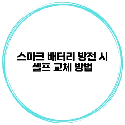 스파크 배터리 방전 시 셀프 교체 방법