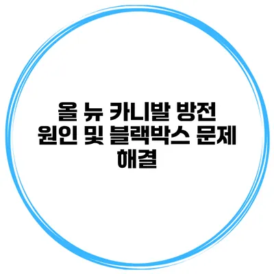 올 뉴 카니발 방전 원인 및 블랙박스 문제 해결