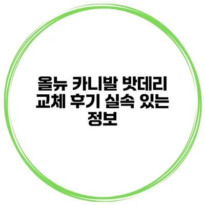 올뉴 카니발 밧데리 교체 후기 실속 있는 정보
