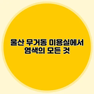 울산 무거동 미용실에서 염색의 모든 것