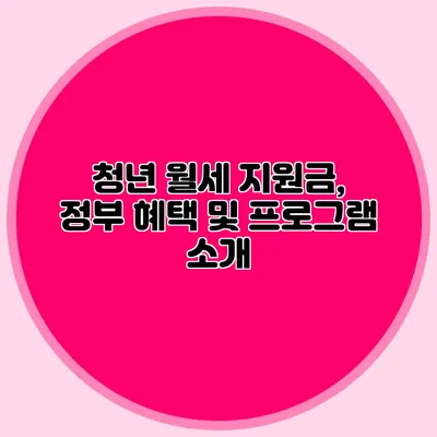 청년 월세 지원금, 정부 혜택 및 프로그램 소개