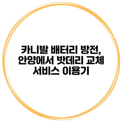 카니발 배터리 방전, 안양에서 밧데리 교체 서비스 이용기