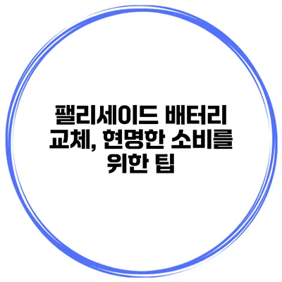 팰리세이드 배터리 교체, 현명한 소비를 위한 팁