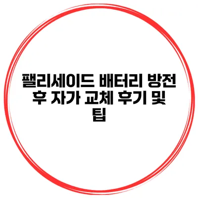 팰리세이드 배터리 방전 후 자가 교체 후기 및 팁